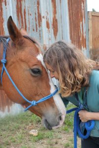 Finding Connection With Horses